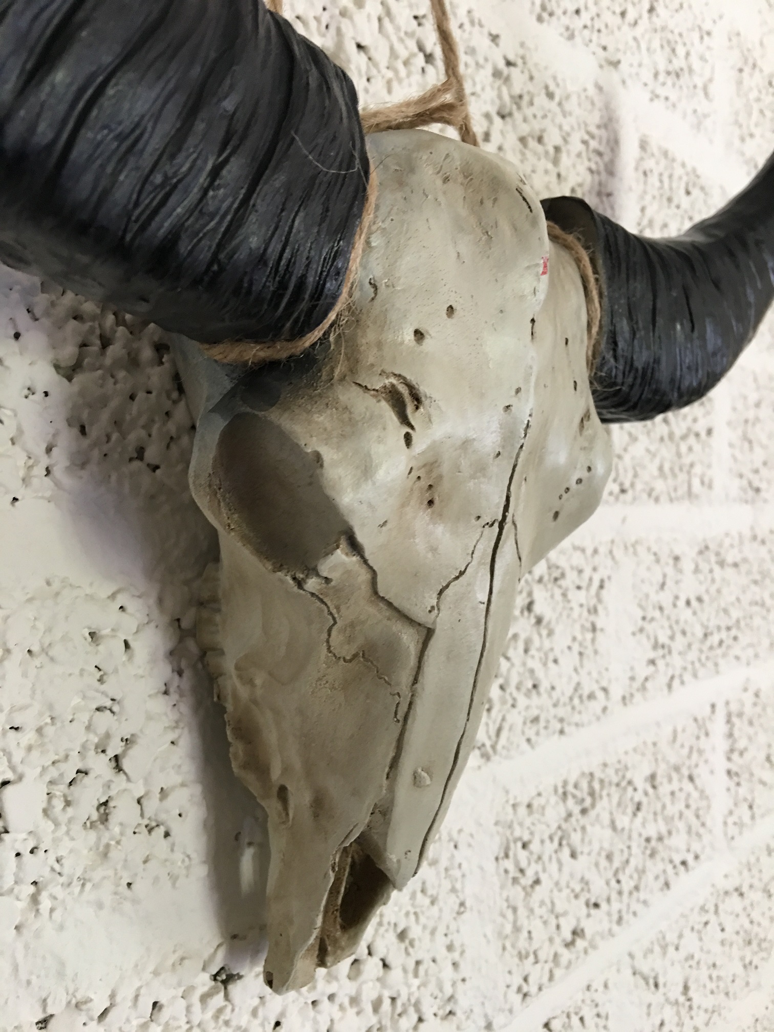Schädel elfenbeinfarben mit schwarzen Hörnern, massivem Polystein